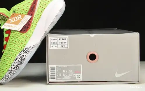 LeBron Nike  Stocking  Stuffer FJ4955-300 20 0514